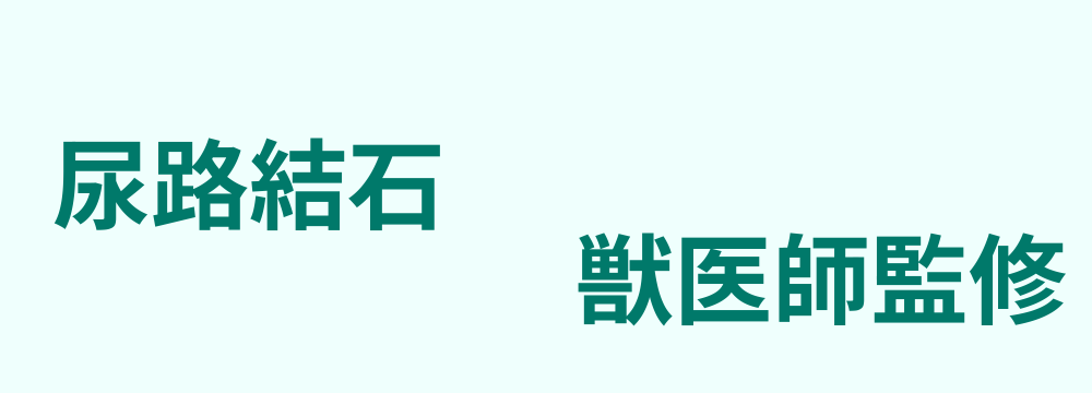 レビューキーワード分析